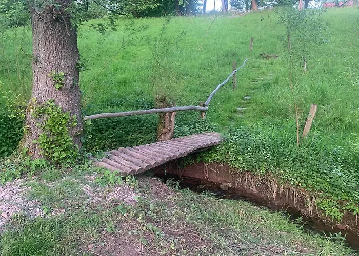 Babí 113
