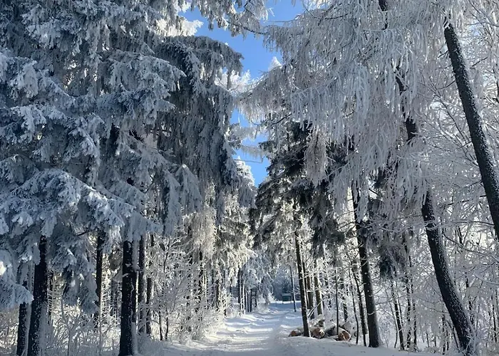 Babí 113 * Trutnov